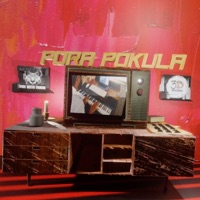 Pora Pokula (feat. Ananth) - Single - Rakesh