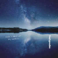 Sky Wonderers - Single - Pevanni & Gabriel Lofi