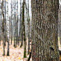 All Love - Single - Doss