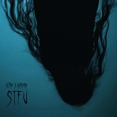 STFU (feat. gizmo) - Single