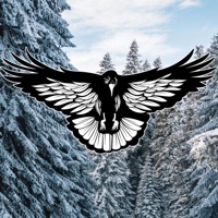 Perception - Single - GENKI