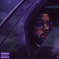 Purple Mink - Single - Havana Heights