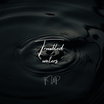 Troubled Waters - Single
