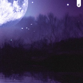 Cloaked in Silence KO WIN & Kid Kio