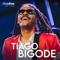 Virginiana - Tiago Bigode & Showlivre lyrics