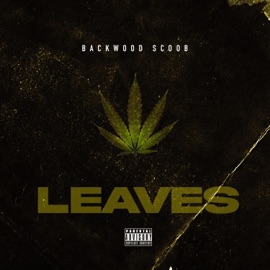 Leaves BackwoodScoob