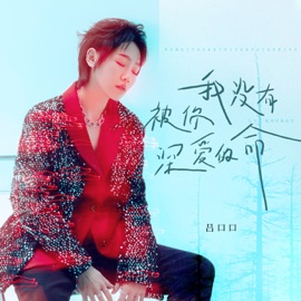 我没有被你深爱的命 Lvkou Mouth