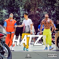 Hatz - Single - Dorian Popa, SHIFT & Selly