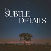 The Subtle Details artwork