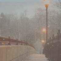 My Beloved - Single - SamTheDawn