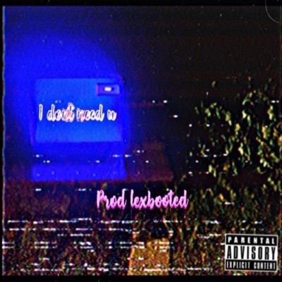 I Don't Need You (feat. Lexbooted) - Single
