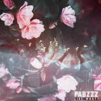 Like What? - Single - Pabzzz