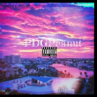 Dangerously In Love (Explicit Version) - Single - PDGPeanut