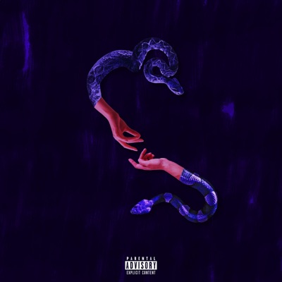 Allh Zwh - Single