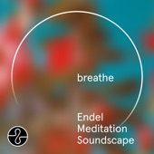 the color of the sky, pt. 2 (Endel Meditation Soundscape) artwork
