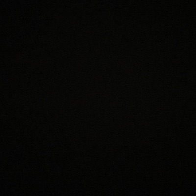 Fat Maggot Bitch - Single