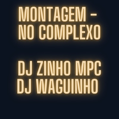 Montagem - No Complexo (feat. Mc Thamires) - Single