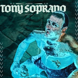 Tony Soprano Aspy