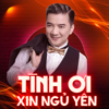 Tình Ơi Xin Ngủ Yên - Đàm Vĩnh Hưng