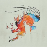 No Sunset for Soul - EP - Monty