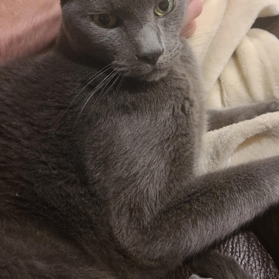 Mince Words - Single