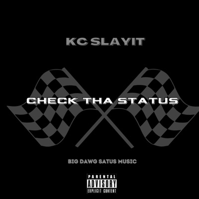 Check Tha Status (Radio Edit) [Radio Edit] - Single