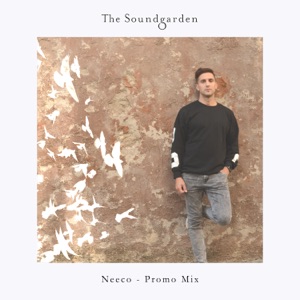 The Soundgarden Experience (DJ Mix)