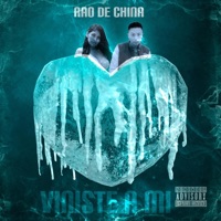 Porque Viniste a Mi (feat. ZiLong Wing) - Single - Rao de China