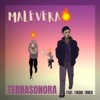 Terrasonora