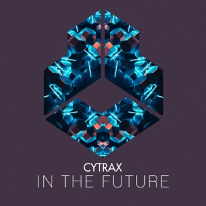 In the Future - Single