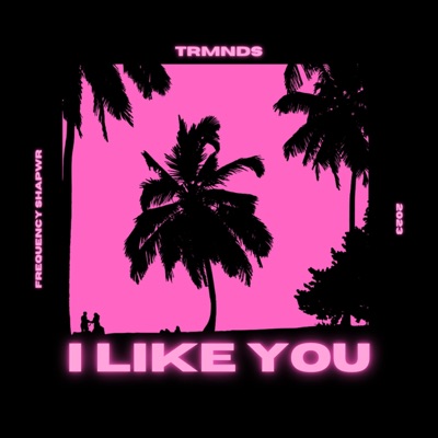 I Like You - Single