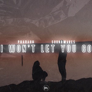 I Won't Let You Go