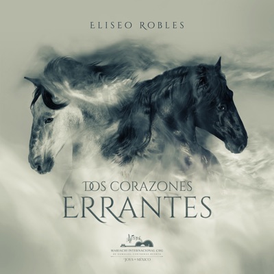 Dos Corazones Errantes - Single
