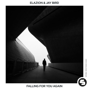 Falling for You Again