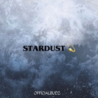 Stardust (Remix) - Single - OFFICIAL BUDZ & H.O