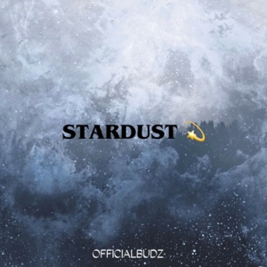 Stardust (Remix) - Single