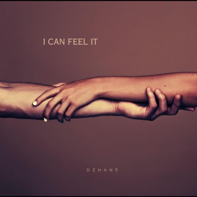 I Can Feel It - Single