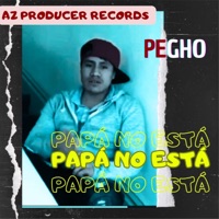 PAPÁ NO ESTÁ (feat. PEGHO) - Single - AZ THE PRODUCER
