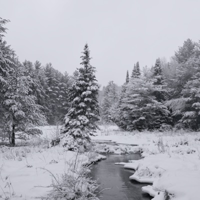 Winter - Single