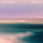 Forever, Now (Remixed) - EP artwork