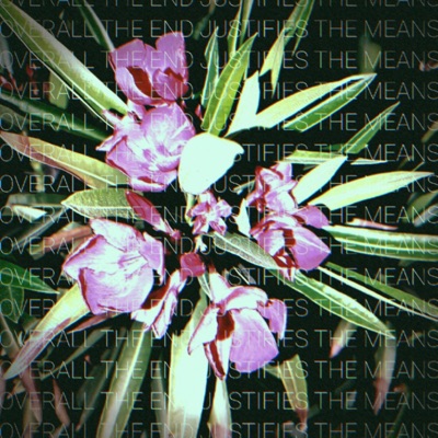 Selenagomez<3Xoxo - Single