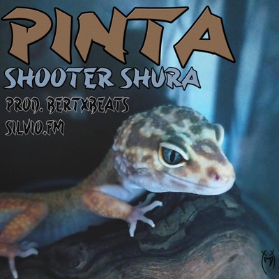 PINTA (feat. BertxBeats & Silvio.fm) - Single
