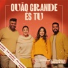 Quão Grande És Tu - Single