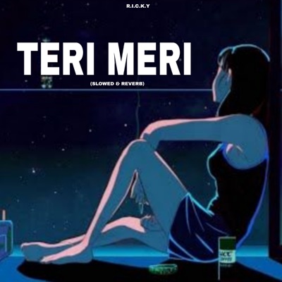 Teri Meri (Slowed & Reverb)