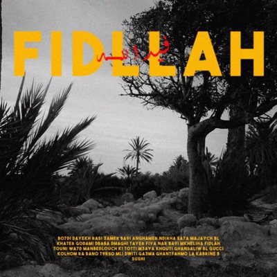 Fidllah (feat. Bigdry) - Single