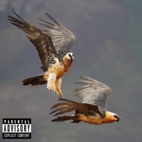 Vulture Cry - Single - Dandre