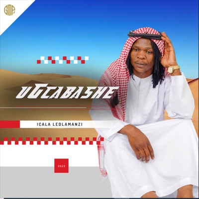 Icala Ledlamanzi - Single