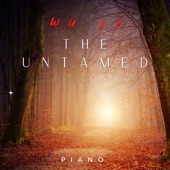 Wu Ji - The Untamed (piano) artwork