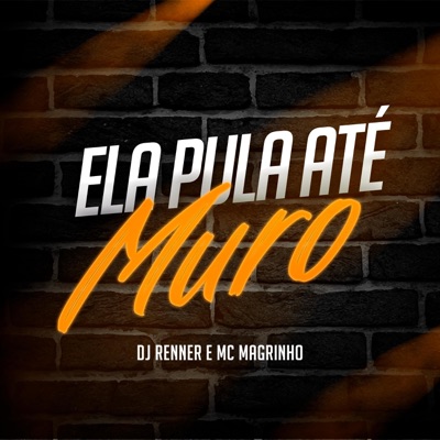 Ela Pula Até Muro - Single