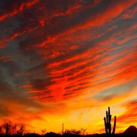 arizona VUITTON JUAN